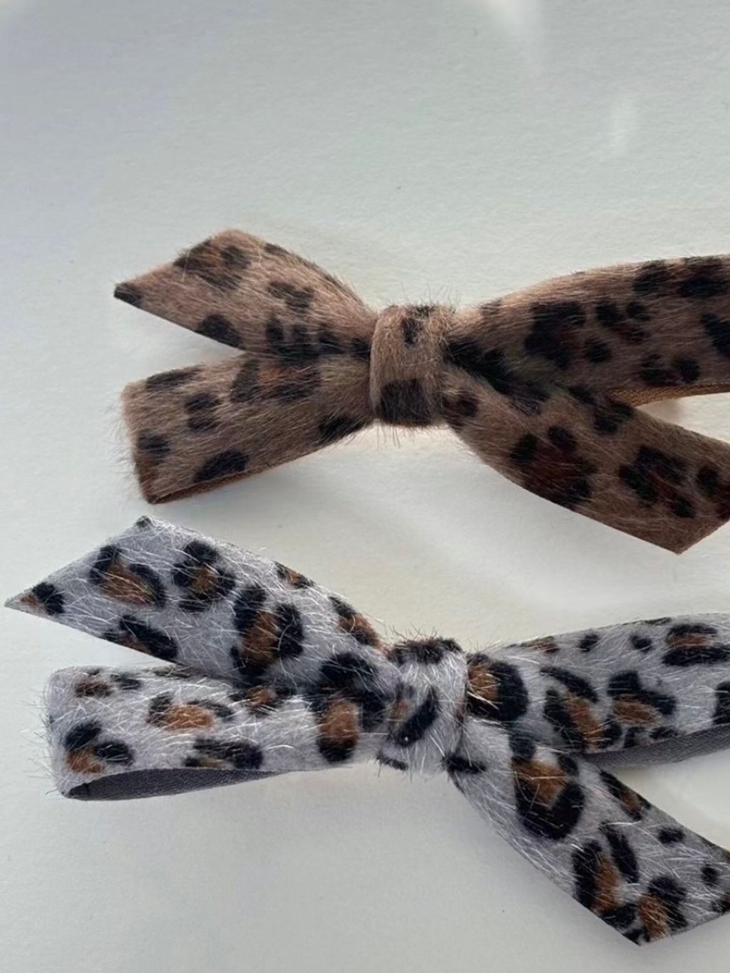 IMG_1454-1734067894817