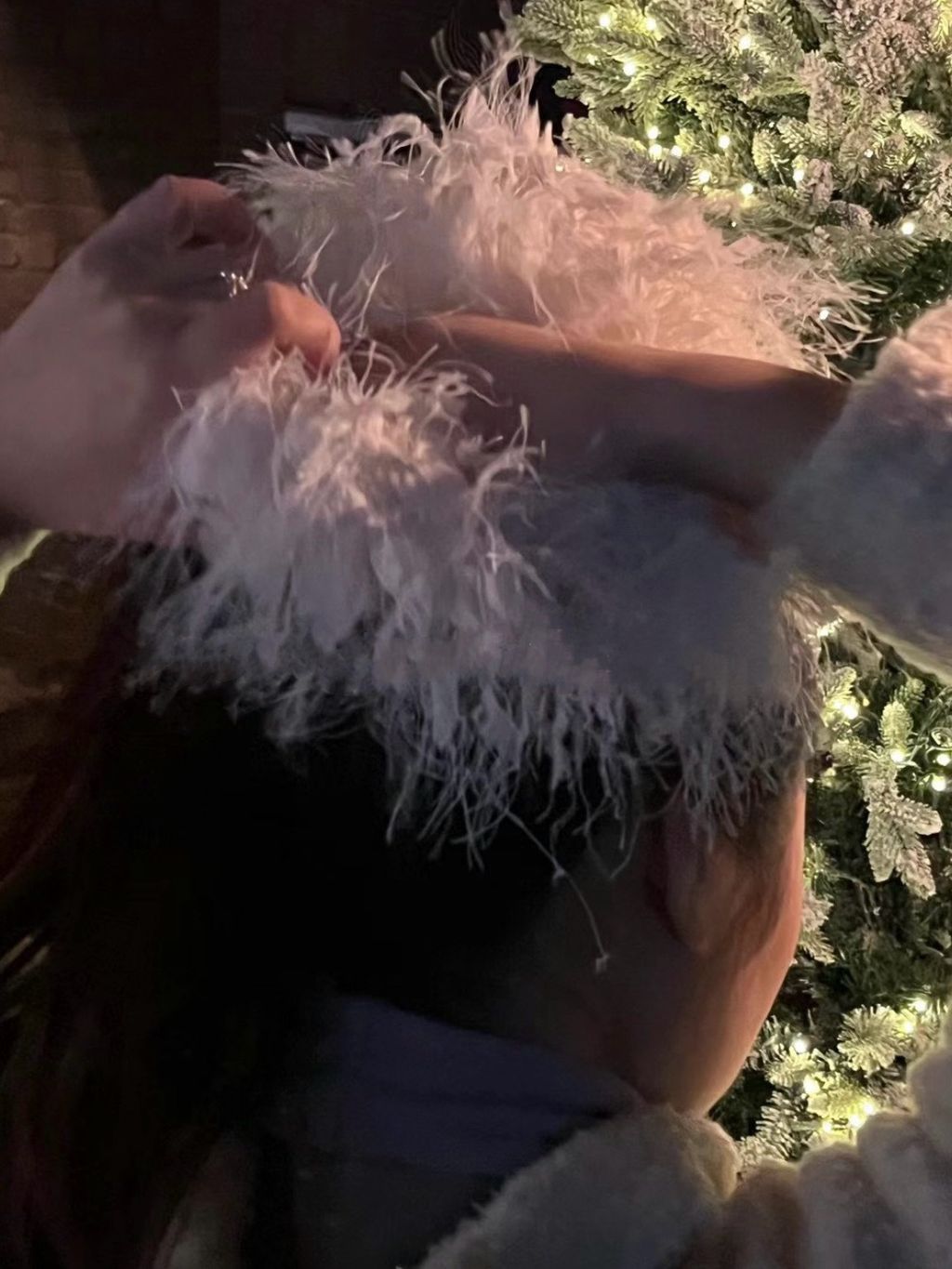 IMG_3425-1734068070824