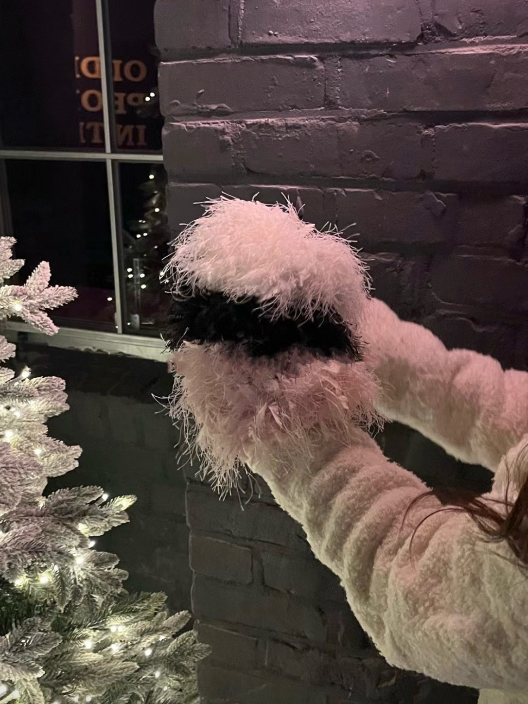 IMG_3426-1734068070917