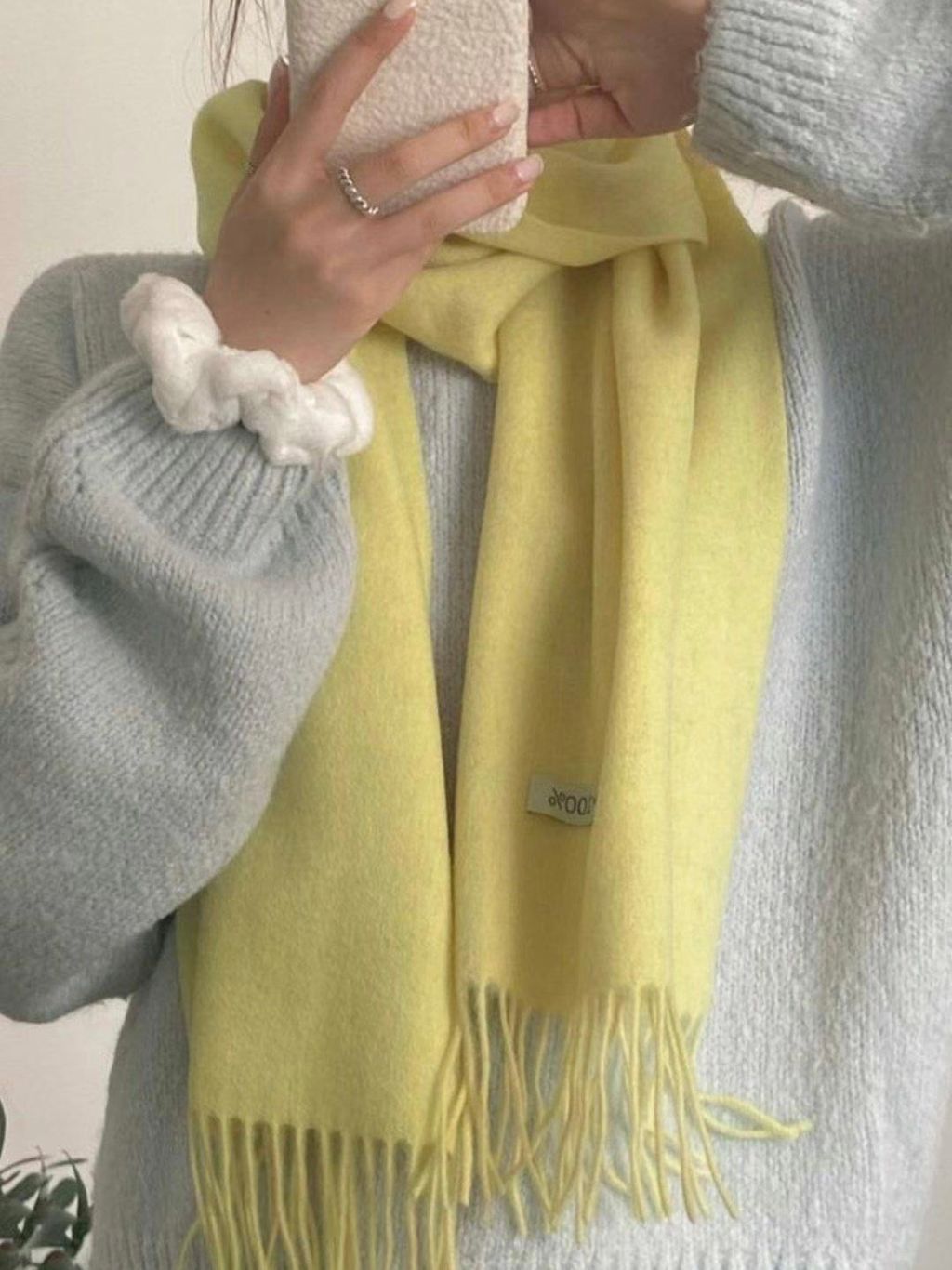 IMG_1504-1734071096720