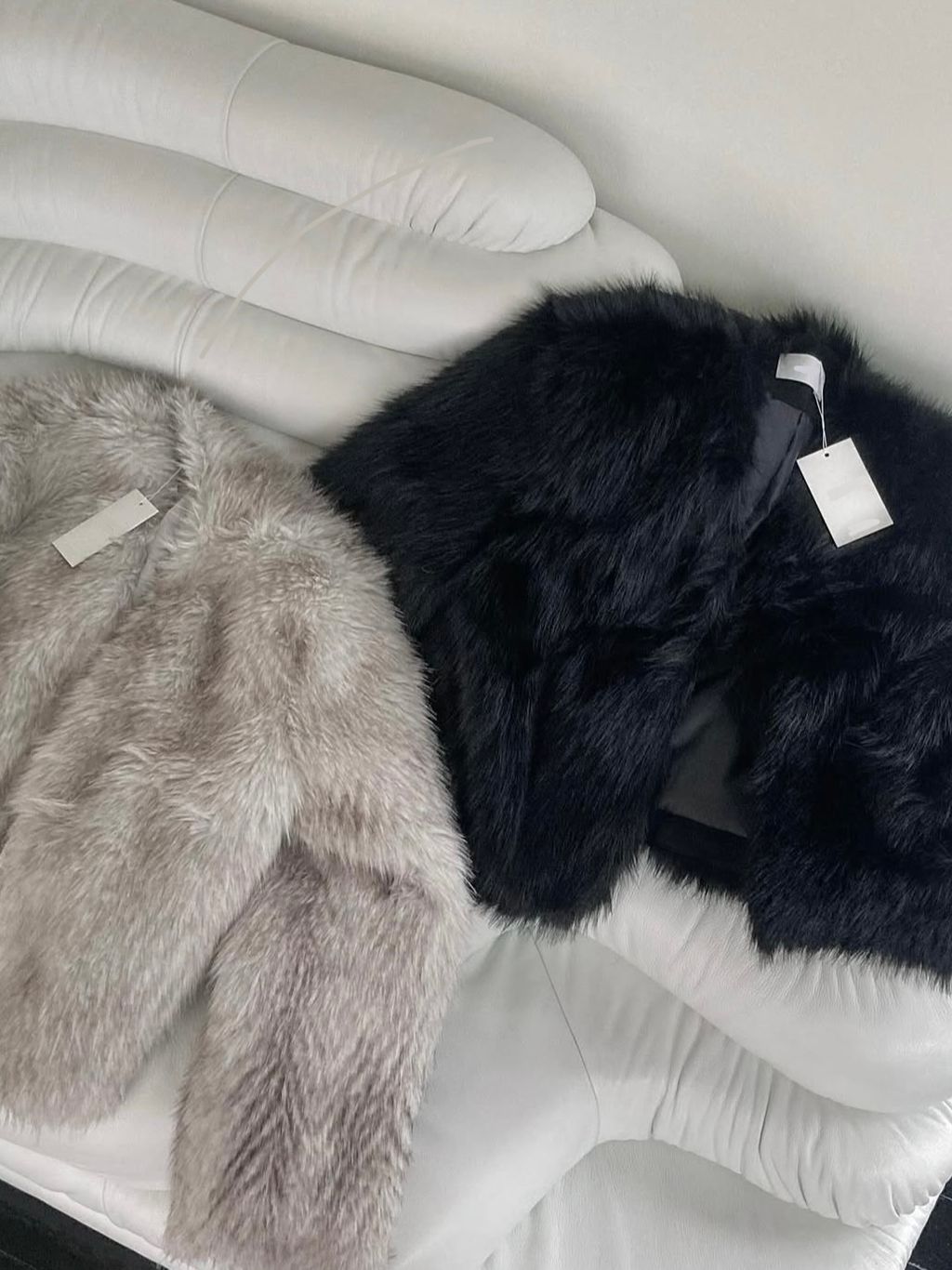 IMG_1794-1734100293182