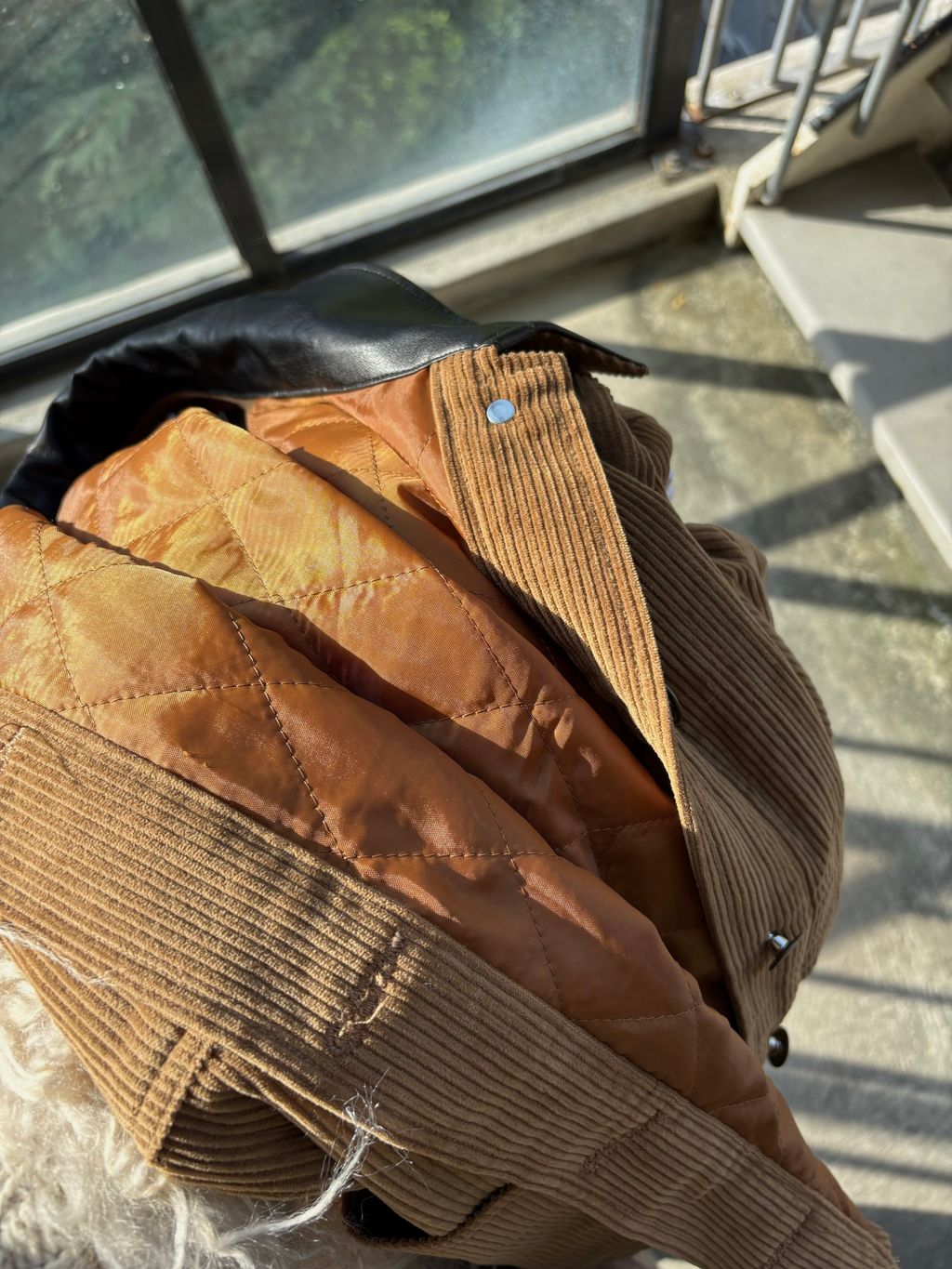 IMG_2626-1734131763287