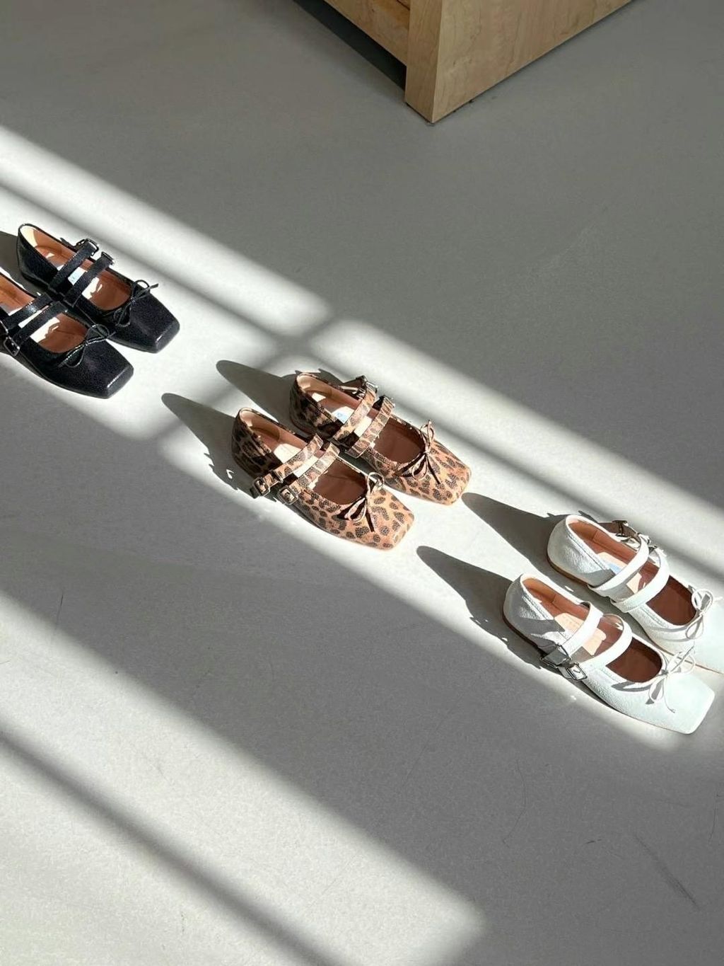 image_E86A7685-5C50-4AC1-B622-BC3F7CC077BD_1743945185