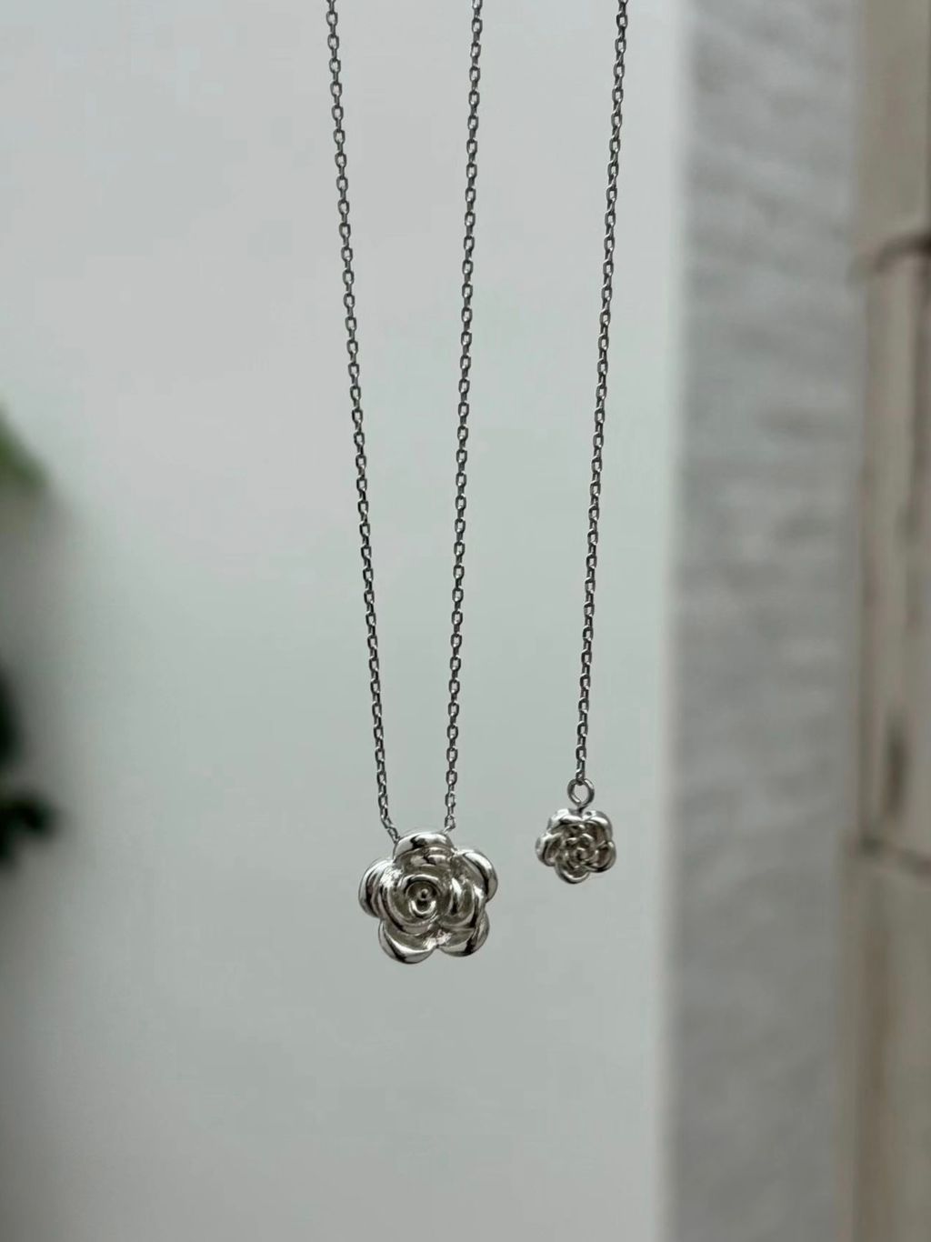 image_AB79A32B-1A5D-434B-B911-87269F370172_1769080154