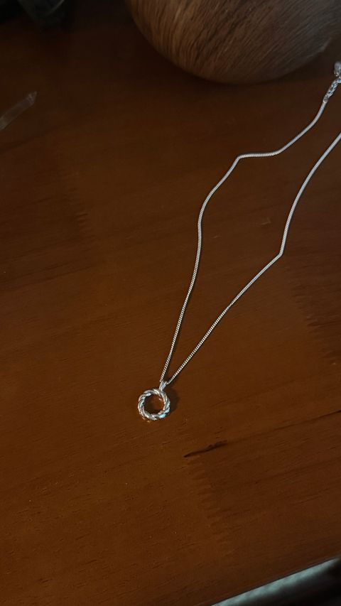 image_0D23A8FD-18DB-47B3-A8B2-AA4556C9D62A_1764233844