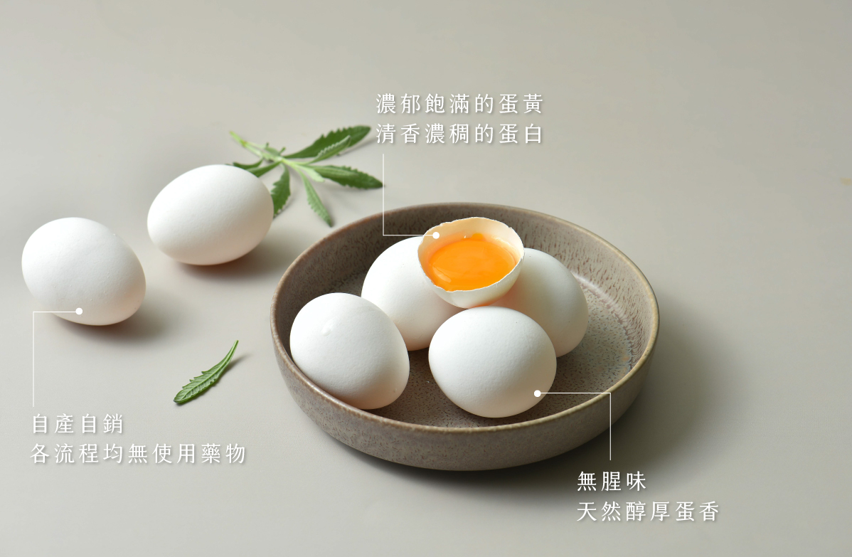 1.桂之初生蛋-蛋品介紹-0-2