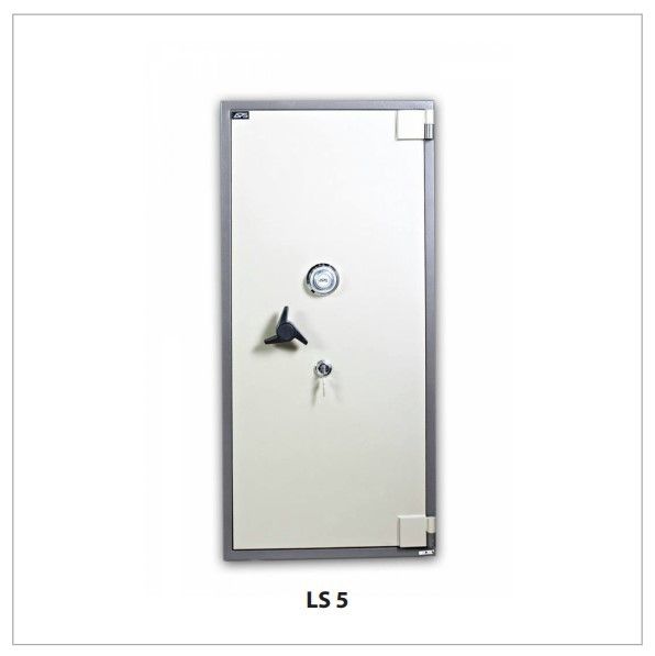 LS5-1.jpg