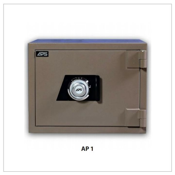 AP 1-1.jpg