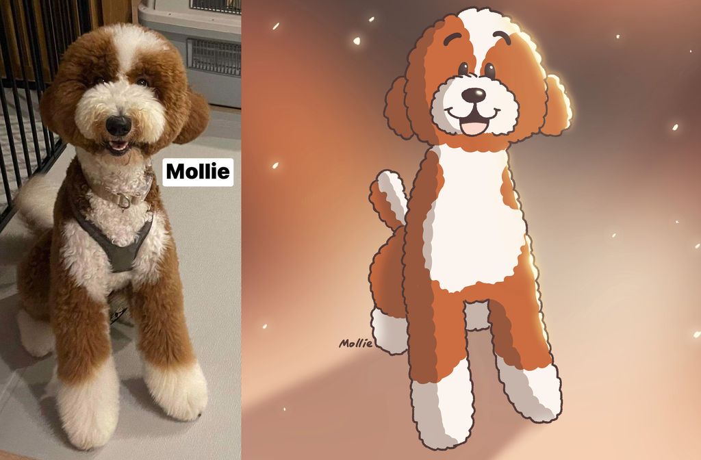 輪播圖-Mollie