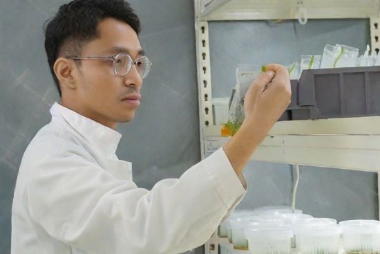 Exploring the Art and Science of Plant Tissue Culture | ME & LEAF