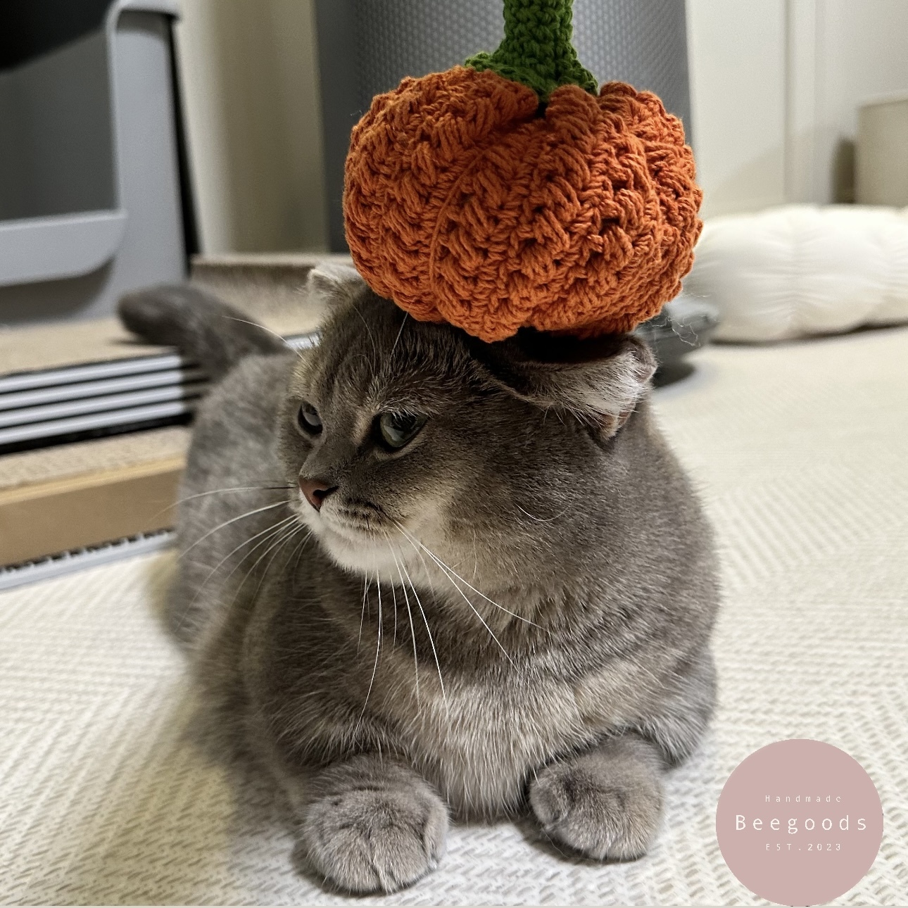 Beegoods | Pumpkin Ball 南瓜球