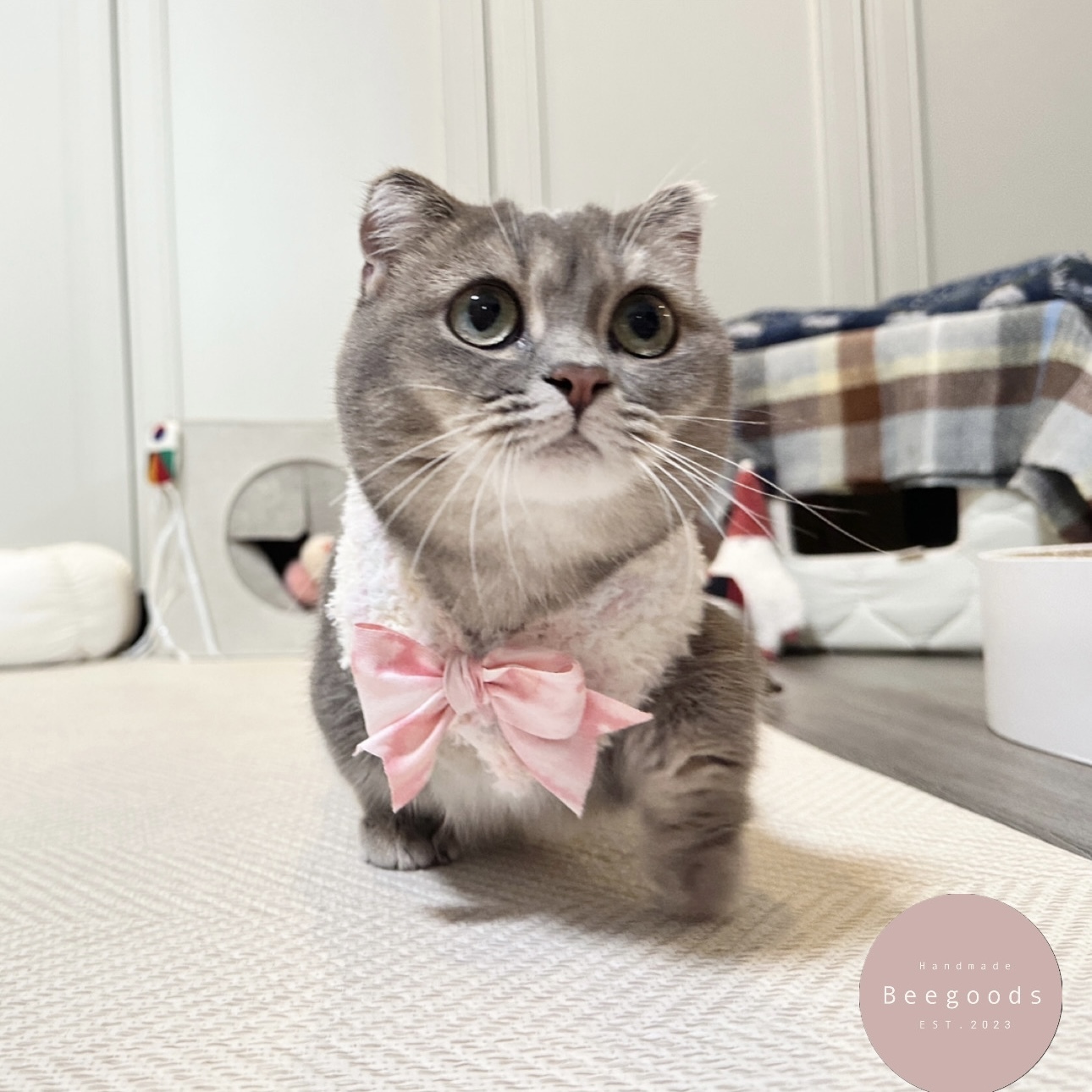 A8B4DF06-EBA5-4331-9166-F97162B3206D-1705848701479