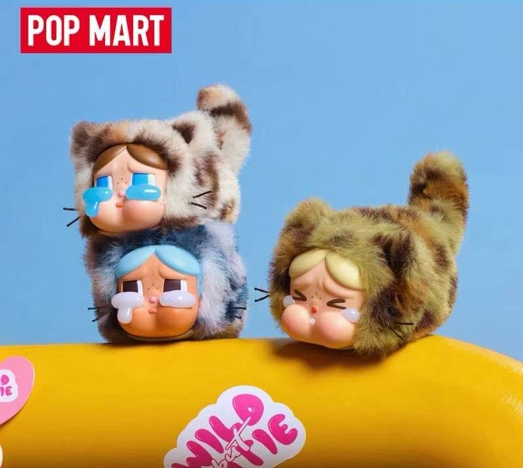 503586511_2104223373432291_4887698858970076073_n