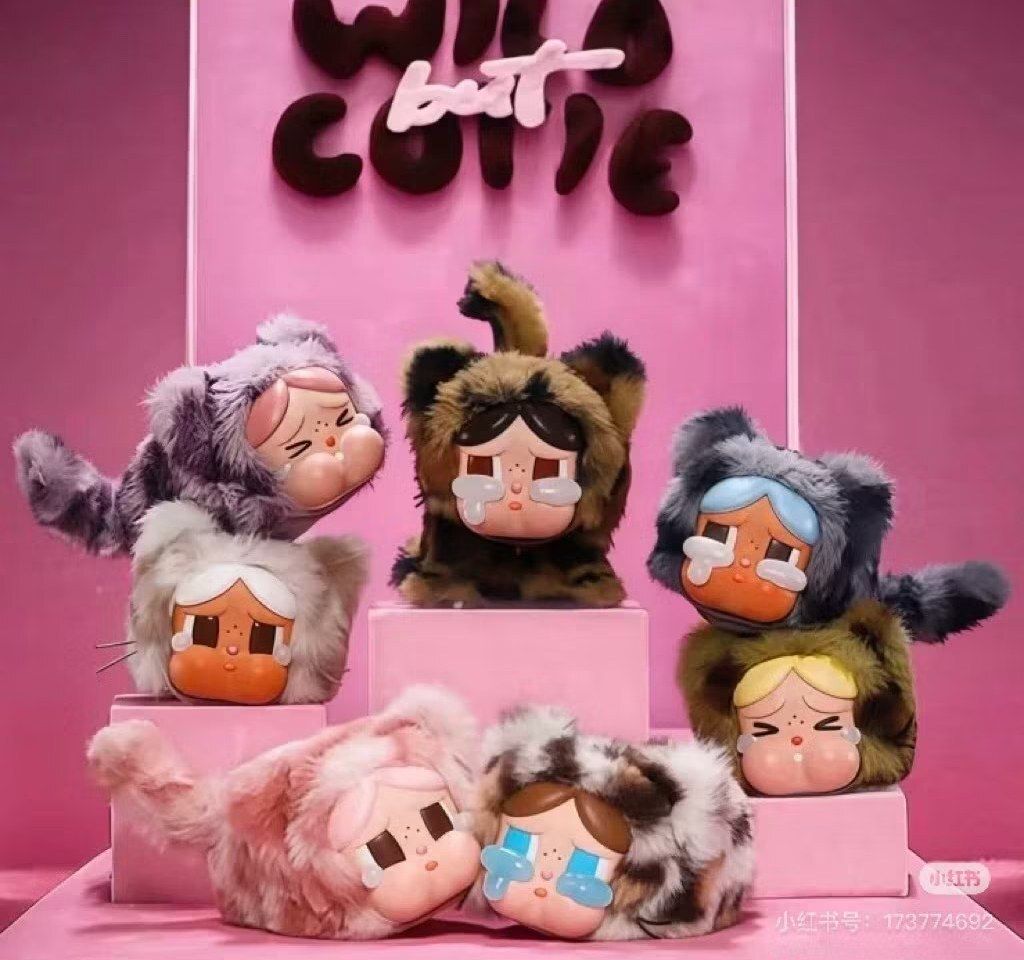 527535262_2155572861630675_6865664805419642808_n