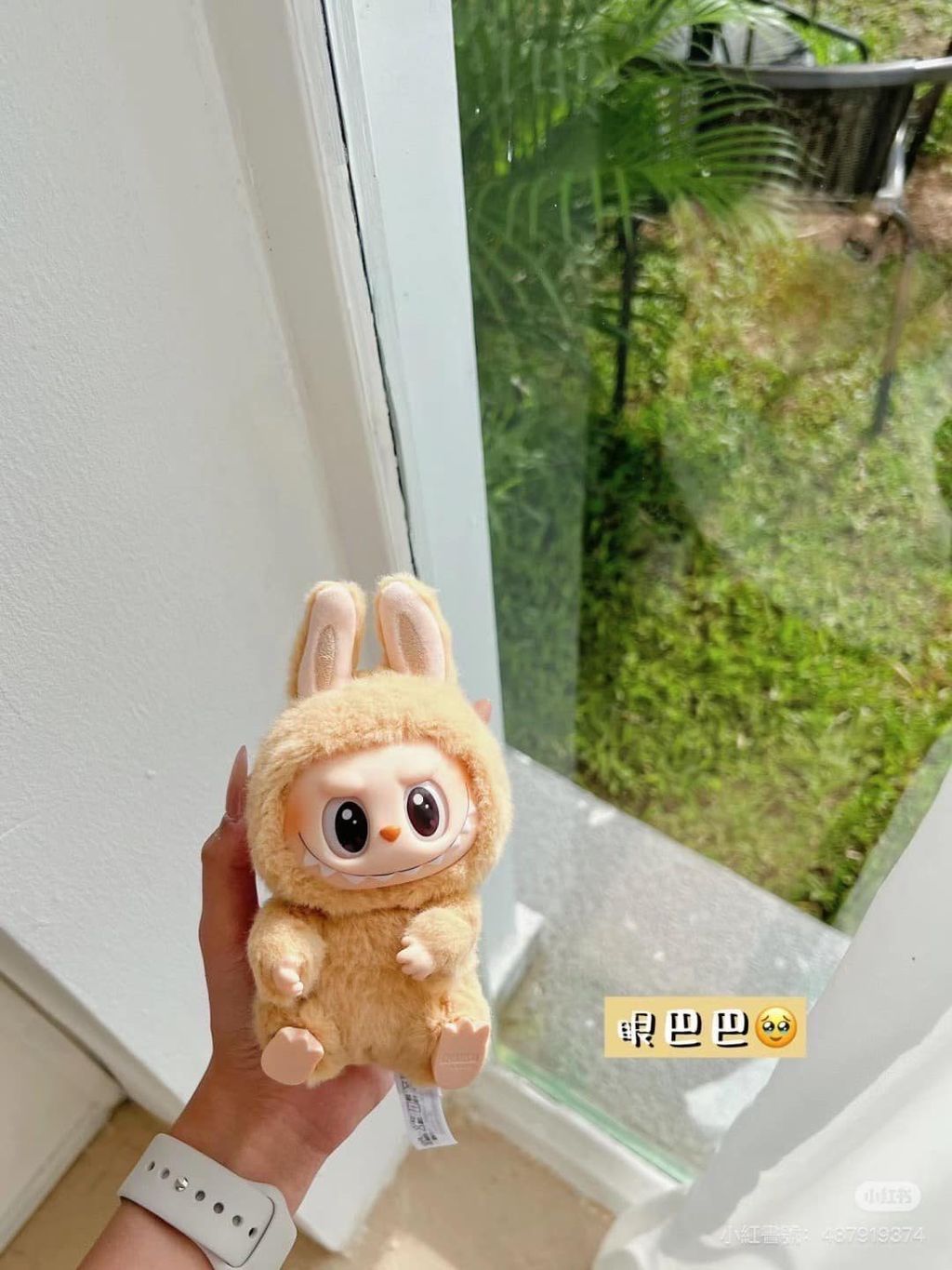 489910785_2061585884362707_2798514058513275790_n