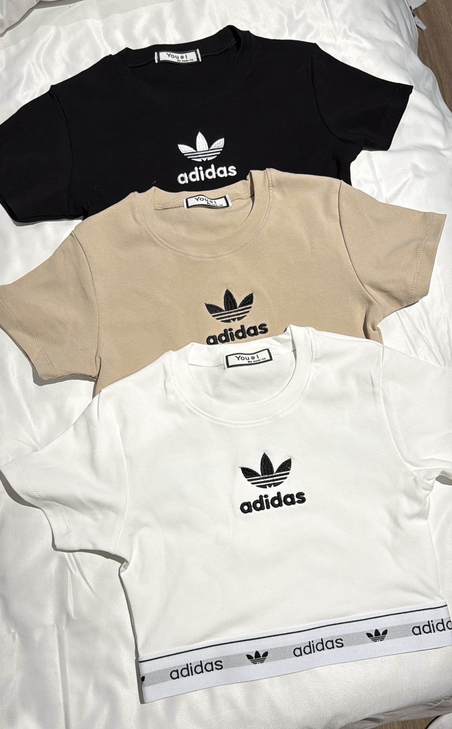 image_722F6785-8C7D-493D-A987-17109736D63A_1741302293