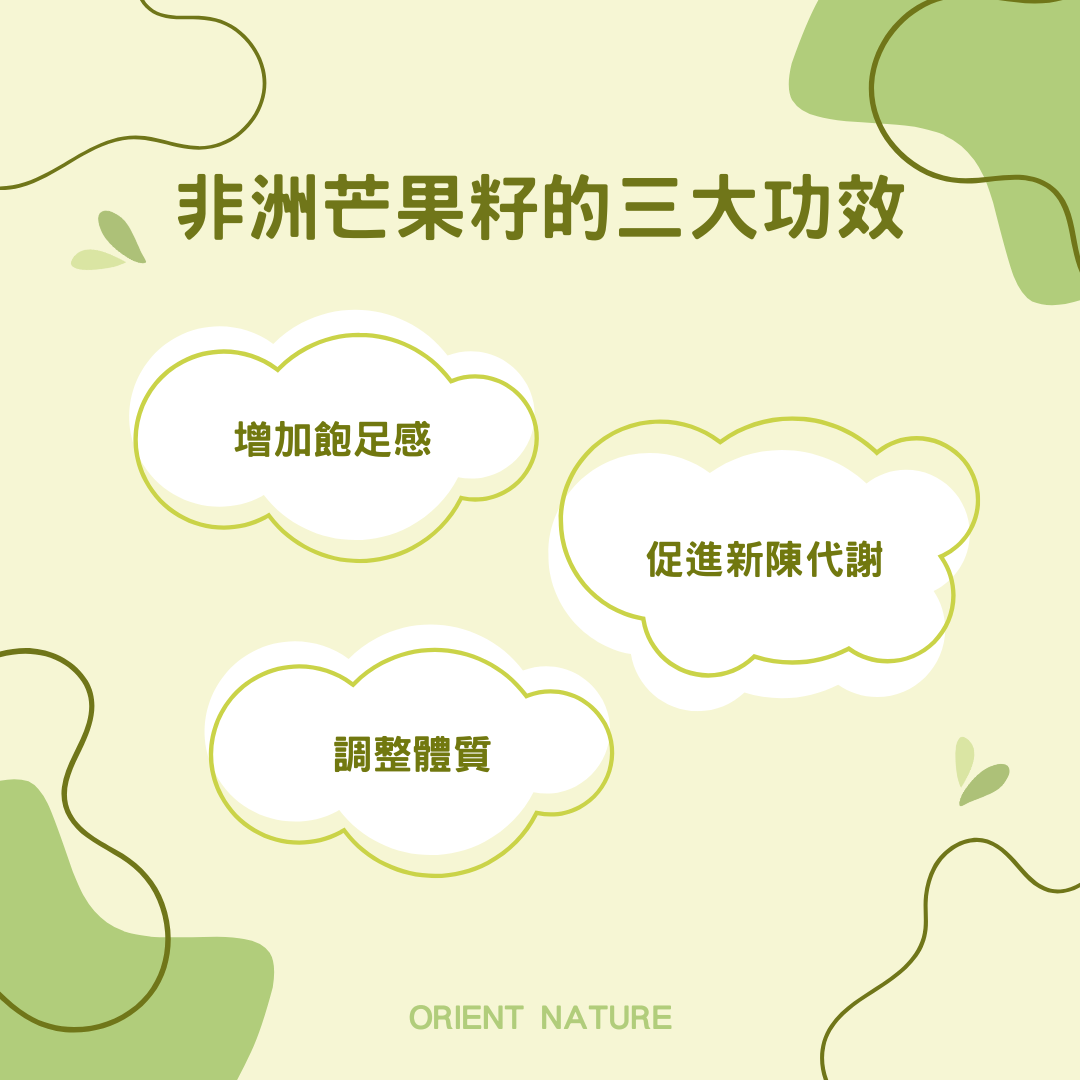 芒2