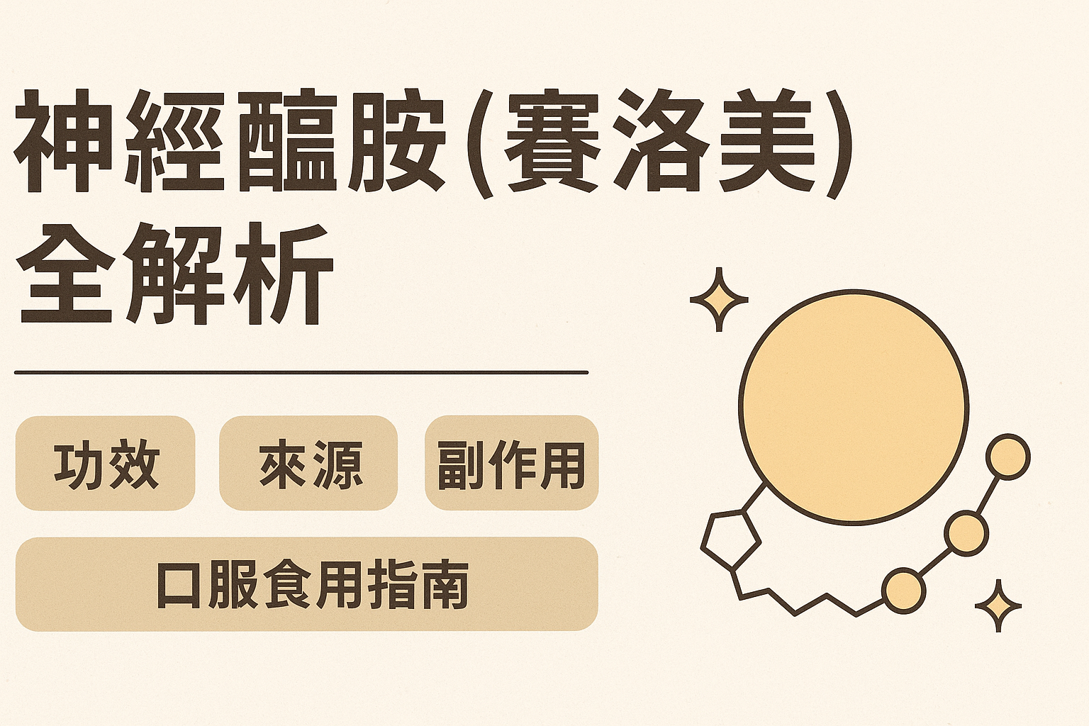 🔬 神經醯胺（賽洛美）全解析：功效、來源、副作用與口服食用指南