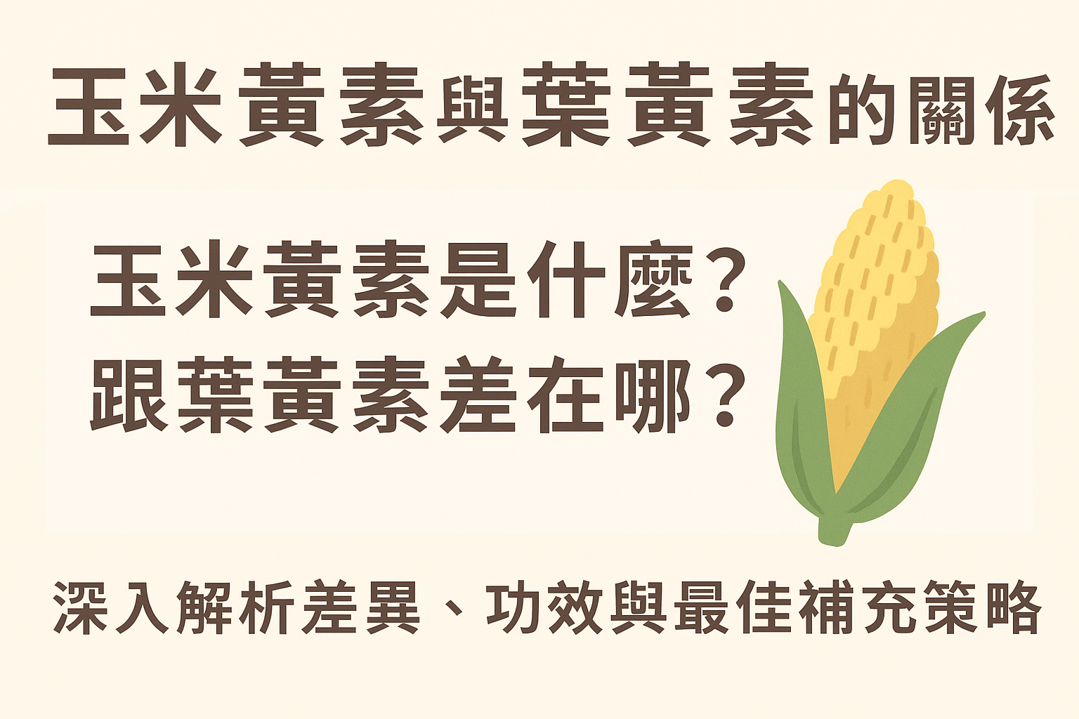 💡 玉米黃素與葉黃素的關係：玉米黃素是什麼？跟葉黃素差在哪？！深入解析差異、功效與最佳補充策略