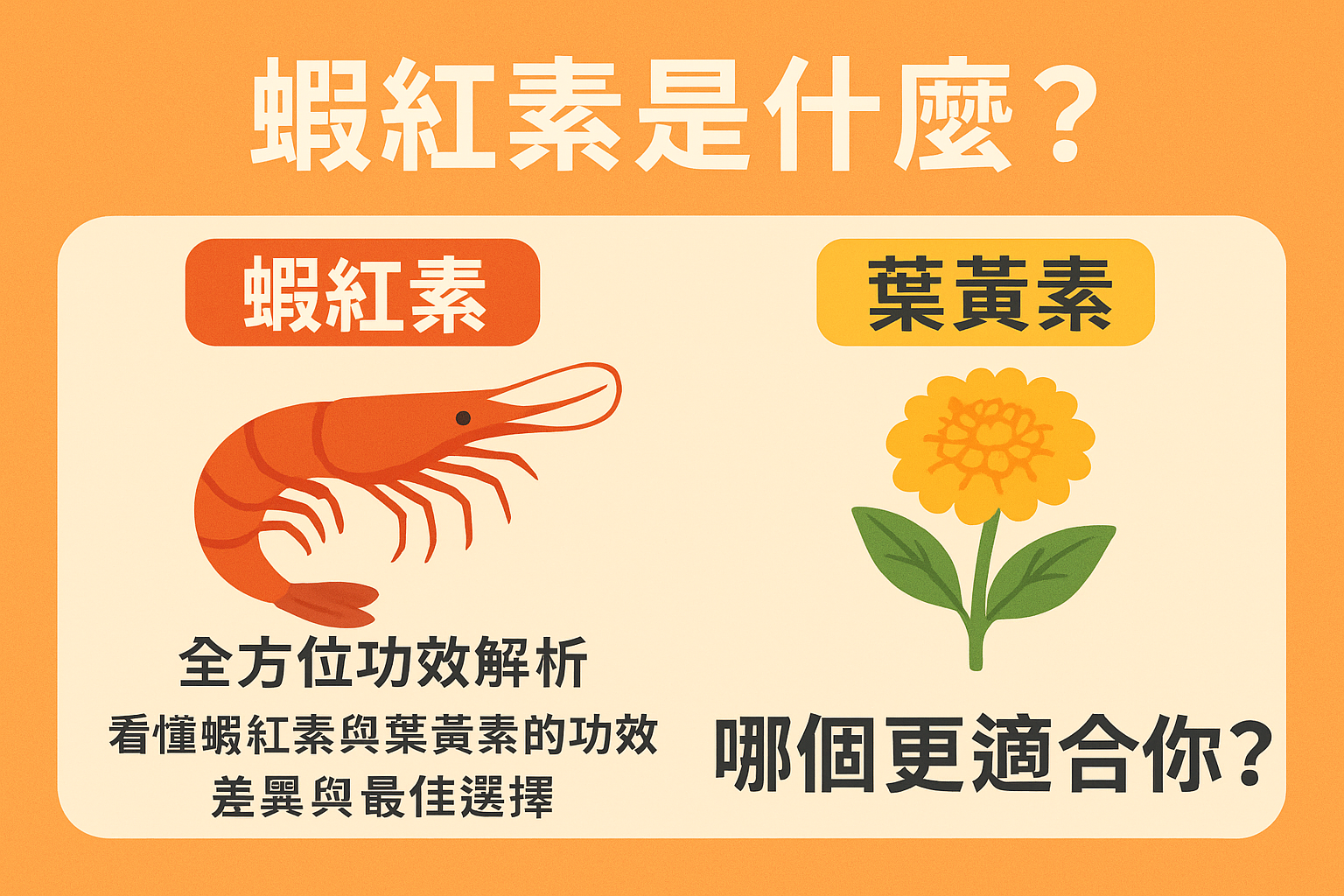 蝦紅素是什麼？蝦紅素全方位功效解析，看懂蝦紅素與葉黃素的功效差異與最佳選擇，哪個更適合你？
