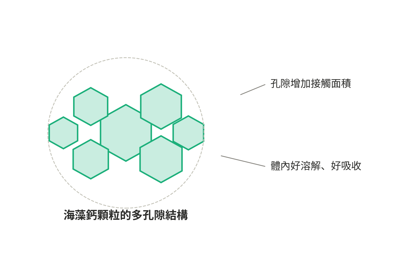 海藻鈣蜂窩狀多孔結構