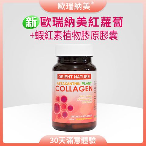 2025_紅蘿蔔2代_主圖