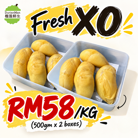 promotion海报 - 2026-09-14T124825.928