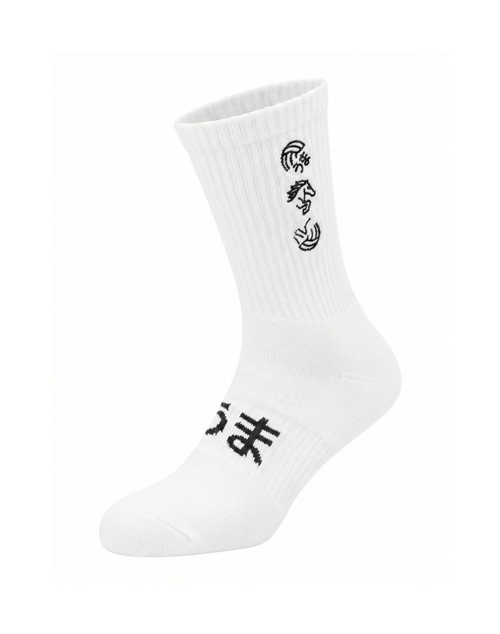 image_2181406E-112D-4EDA-9845-79395E36CC8F_1772641711