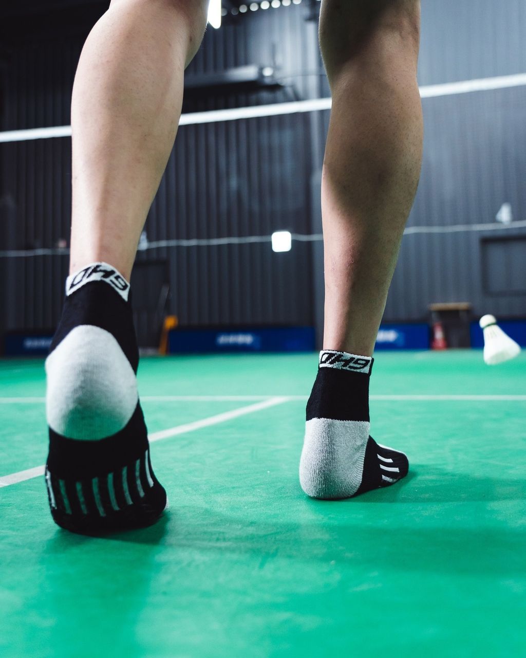 489745382_1331815025620672_7725807813264159549_n