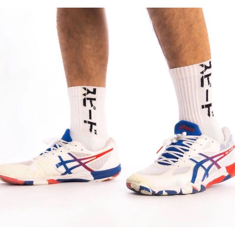 勢必得大日文長襪