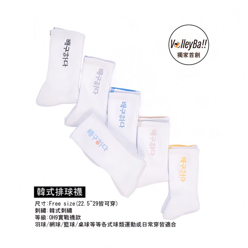 整個韓是排球襪介紹