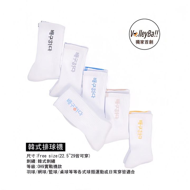 整個韓是排球襪介紹