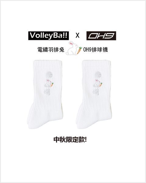 電繡羽排兔預購圖文 JPG檔