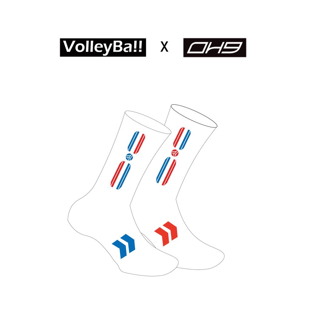 2025台灣紅藍線條