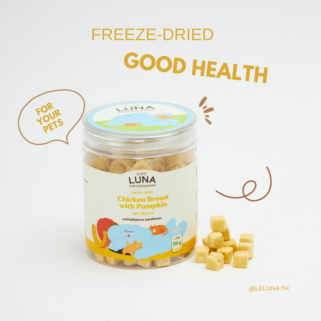 ChickenPumpkin.LeLuna(TH)