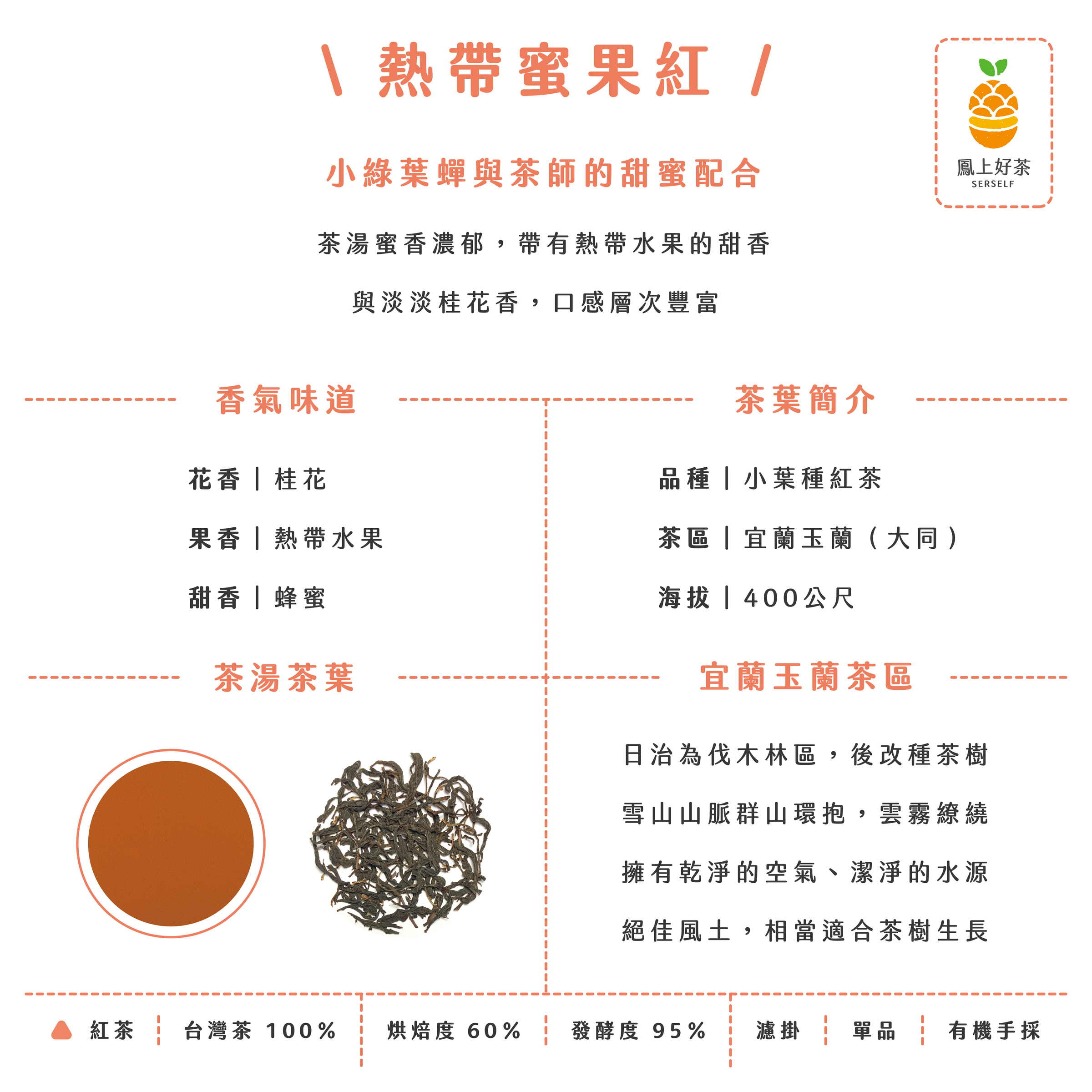 茶款介紹-方-無框 (1)