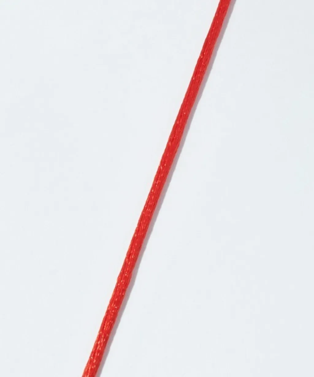 A8A86DE2-7555-4B1E-8B84-E9210F1B2ABB