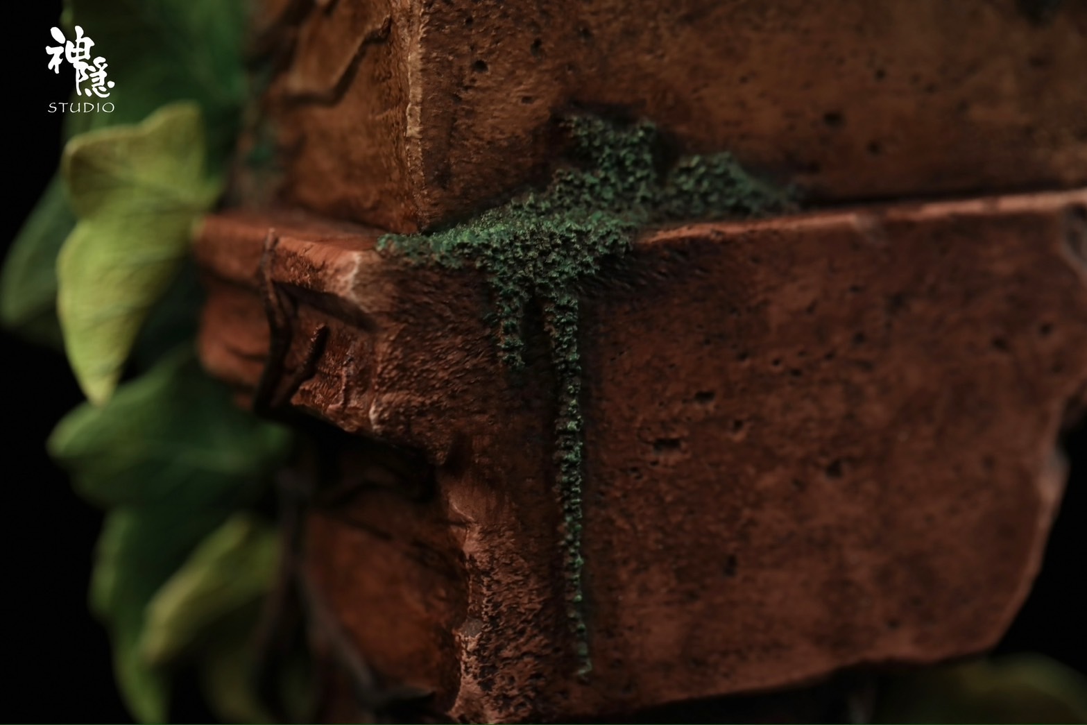 S__48628273_0