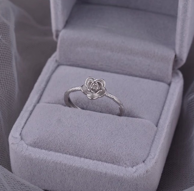 圖片_20250402233250