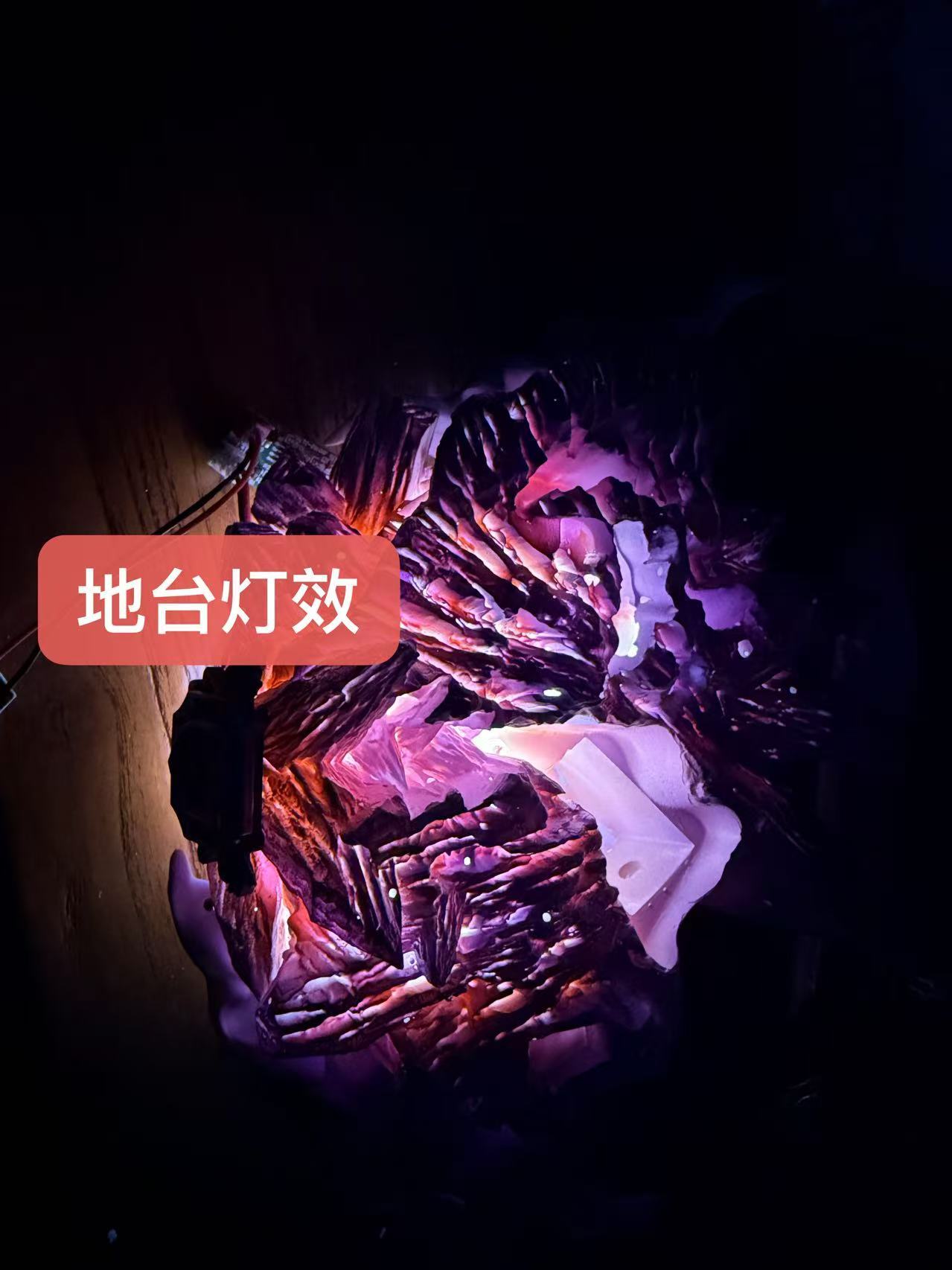 image_8FC3DFAA-87B1-4CE5-BA0C-B189C2E04A05_1769163806