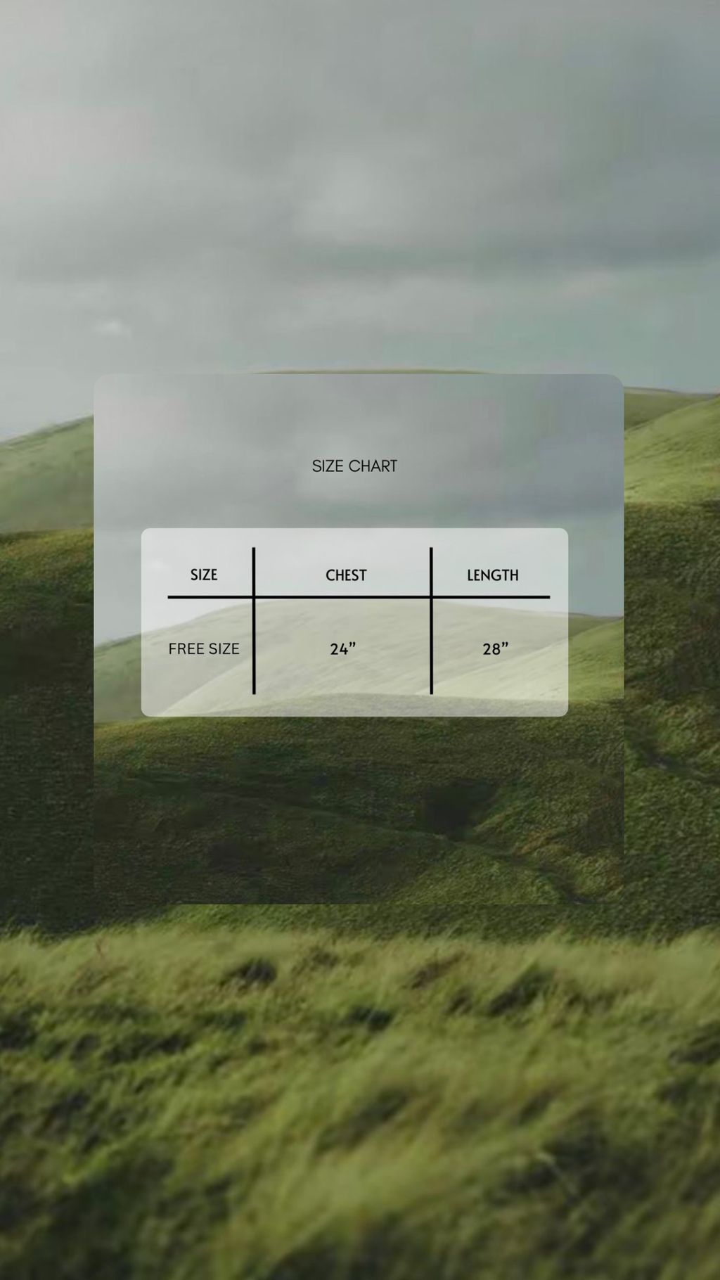 image_C4508DC9-138D-44F6-A476-FA2DFCD57510_1770955880