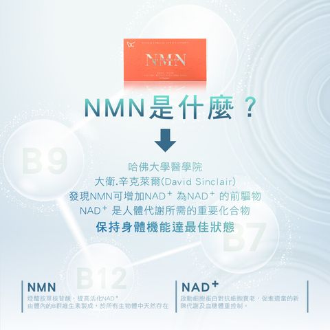 NMN-廣告業1200px-02_0