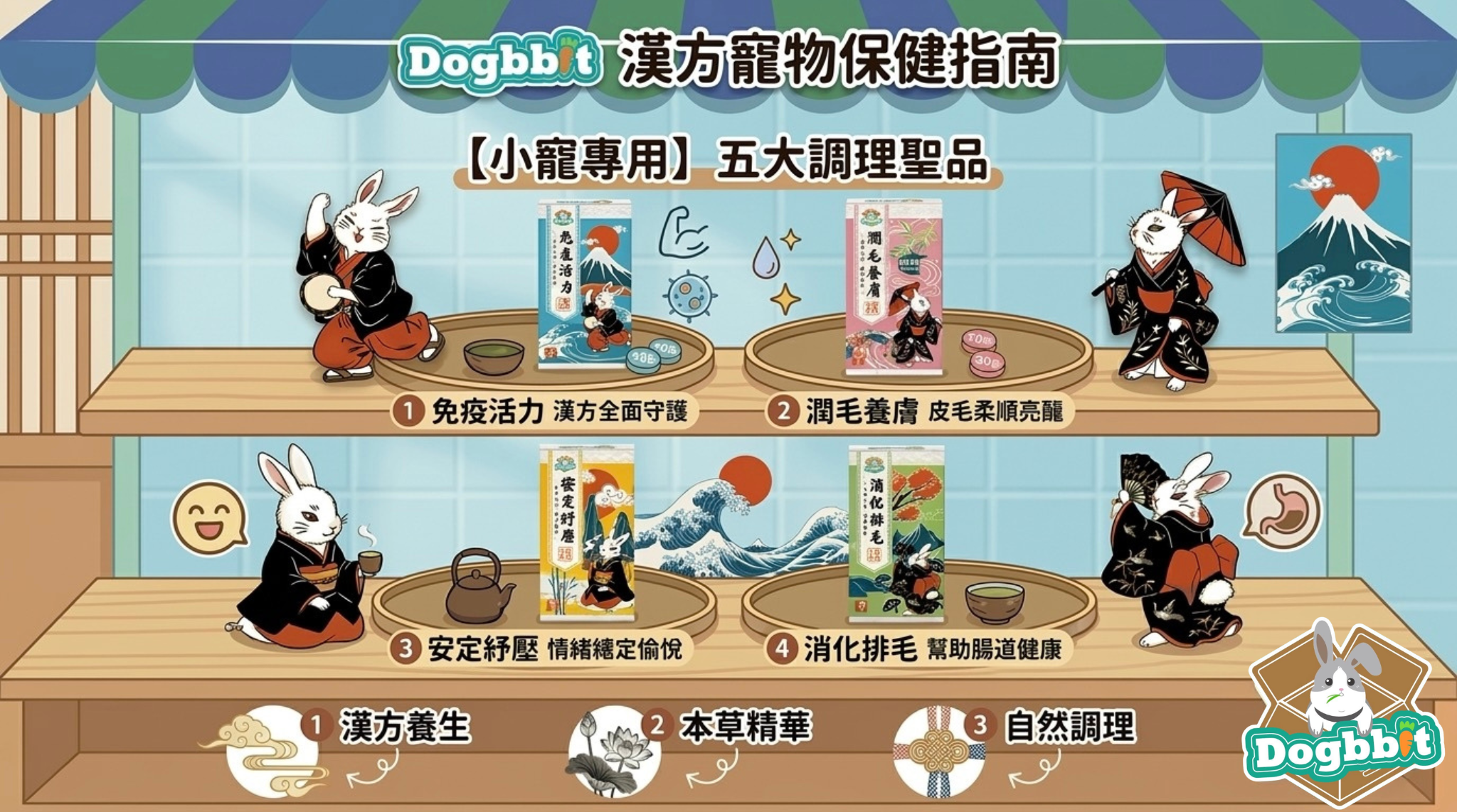 【兔子保健食品全指南】兔子真的需要吃保健品嗎？腸胃保健、情緒穩定、換毛期排毛怎麼補？幼兔/成兔/老兔一次講清楚！