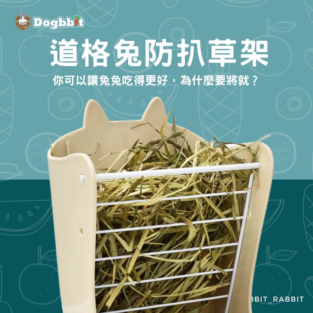 tw-11134207-23010-zwbifscc3jmvbb