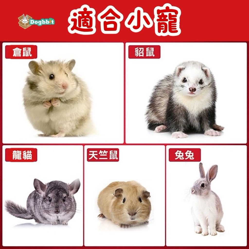 tw-11134207-7r98p-ltavt4pnxqs214