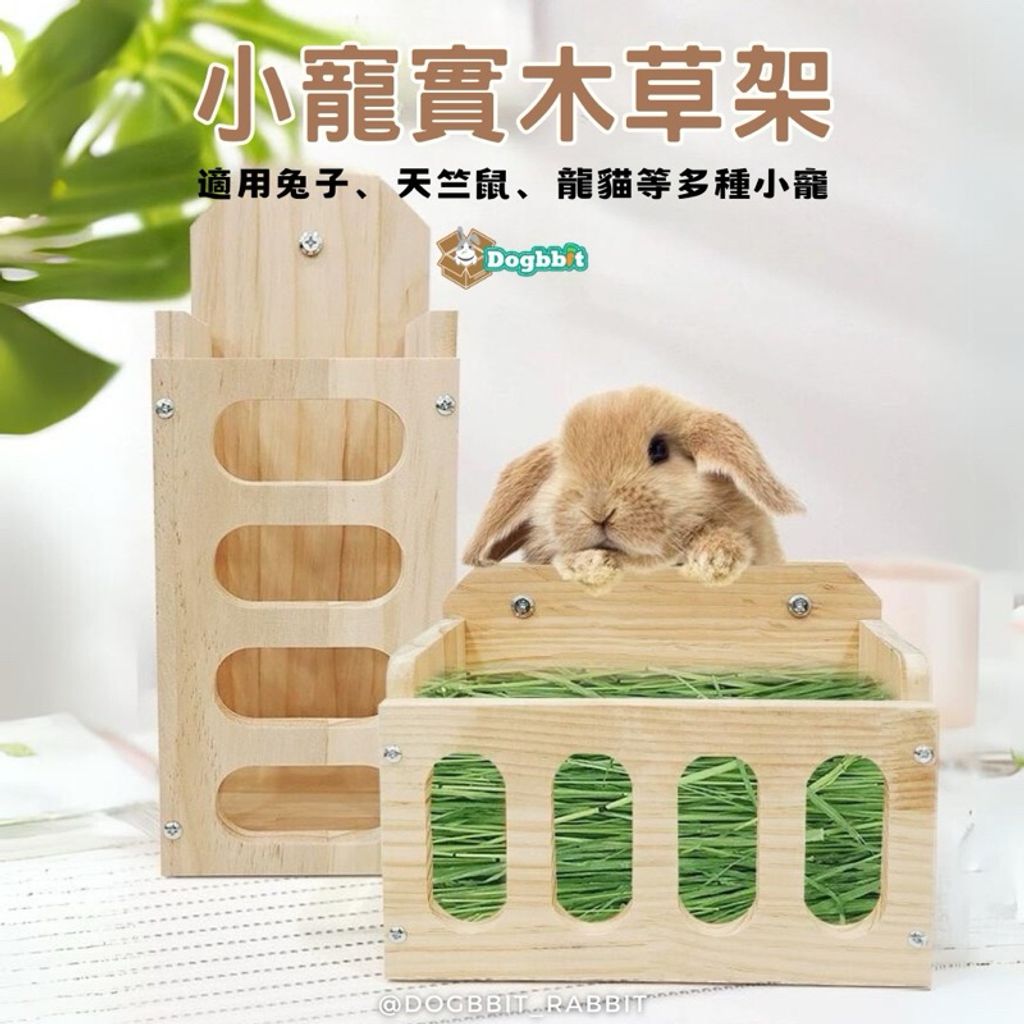 tw-11134207-7r98u-ltavt4pye7ew5d