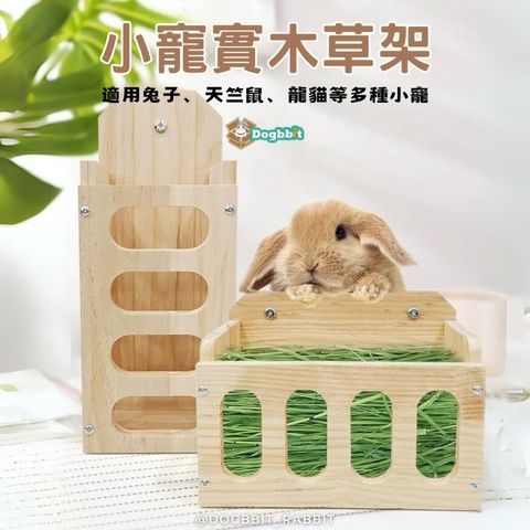 tw-11134207-7r98u-ltavt4pye7ew5d