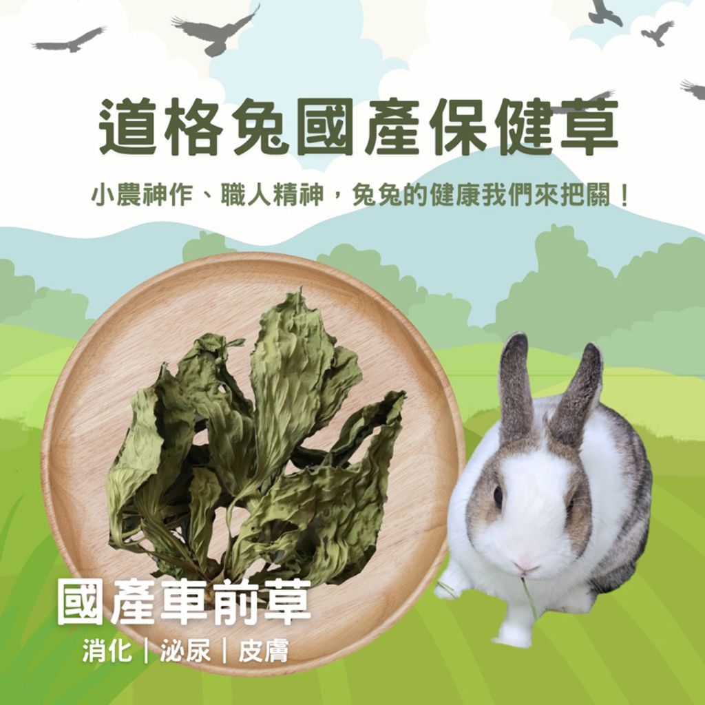 tw-11134207-7qukw-lepxu3me1zxtea