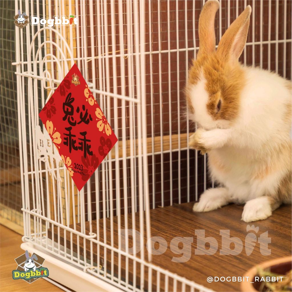 tw-11134207-23010-b9r4d87ei6lv07