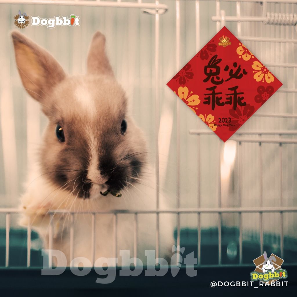 tw-11134207-23010-s8r4d87ei6lvee